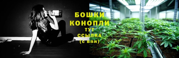 спиды Осташков