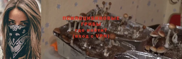 спиды Осташков