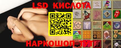 шишки Аргун
