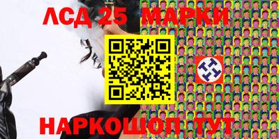 шишки Аргун