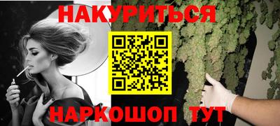 шишки Аргун