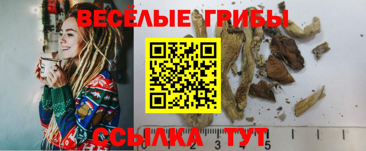 Галлюциногенные грибы мицелий  Вход с VPN  Апрелевка 
